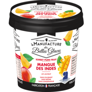 Glace artisanale Mangue